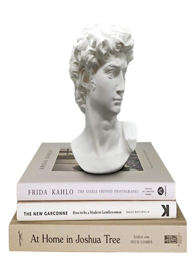 Banhey Greek Statue of David - Head Bust for Mythology and Roman Home Decor - Image 1